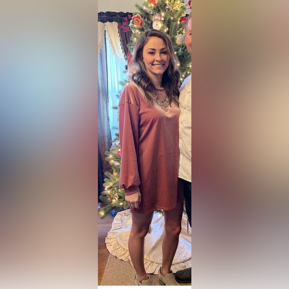 Fashion nova pink velvet dress small